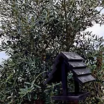 Holiday home Solar Do Prazo-serra & Charme Goncalo (Guarda)