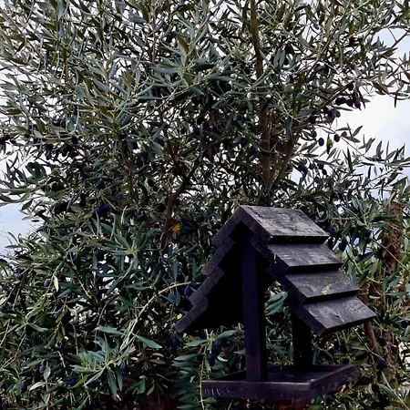 Dom wakacyjny Solar Do Prazo Goncalo (Guarda)