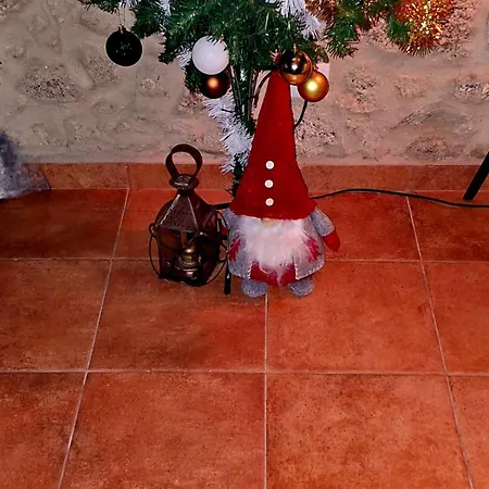 Solar Do Prazo * Goncalo (Guarda)