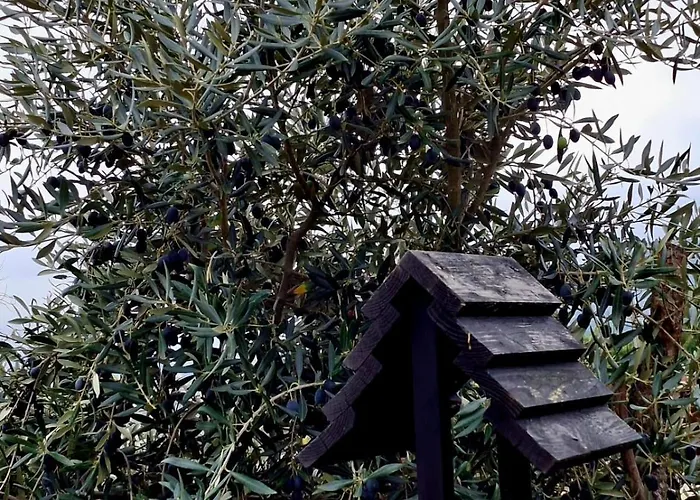 Vakantiehuis Solar Do Prazo Goncalo (Guarda)